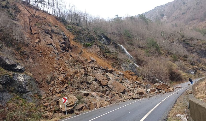 Artvin-Hopa kara yolunda heyelan nedeniyle ulaşım kontrollü sağlanıyor