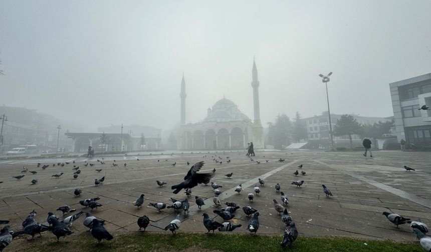 Bolu ve Düzce'de sis etkili oldu