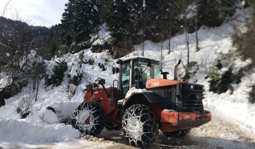 Doğu Karadeniz'de karla mücadele çalışmaları devam ediyor