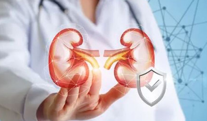 Böbrek hastaları için kritik uyarılar ve sağlıklı böbrekler için 8 altın tavsiye