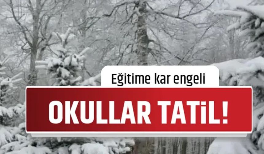 Türkiye'de Kış etkisi: 2025 Mart Ayında eğitime ara verilen iller