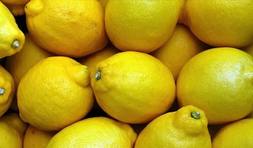 Tarlada 5 lira olan limon neden markette 100 TL? İşte fahiş fiyatın gerçek sebebi