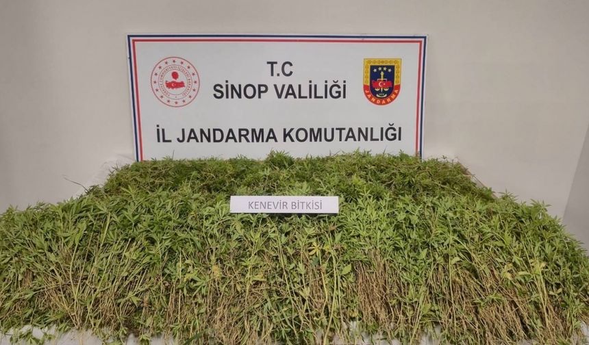 Sinop’ta uyuşturucu operasyonunda 2 kişi yakalandı