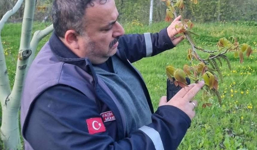 Sinop'ta zirai don tehlikesine karşı çiftçiler bilgilendiriliyor