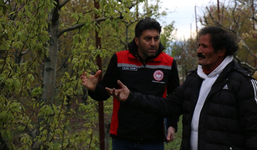 Çorum’da zirai donun etkileri inceleniyor! Hasar tespit çalışmaları başladı