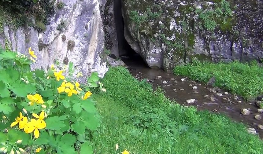 Çorum'da mutlaka görmeniz gereken yer: Kalinse Kanyonu