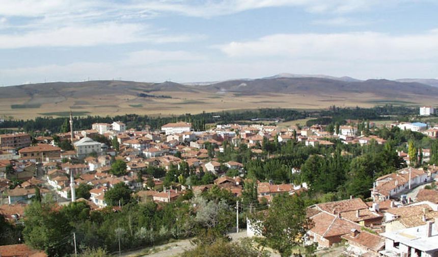 Çorum'da şüpheli ölüm! Yol kenarında cansız bedeni bulundu