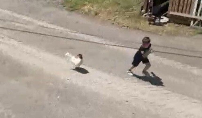 Horoz kovaladı minik Ömer Arda kaçtı, O Anlar Kameralara Yansıdı