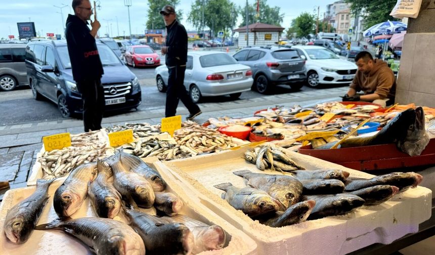 Trabzon'da balıkçı tezgahlarında bolluk yaşanıyor