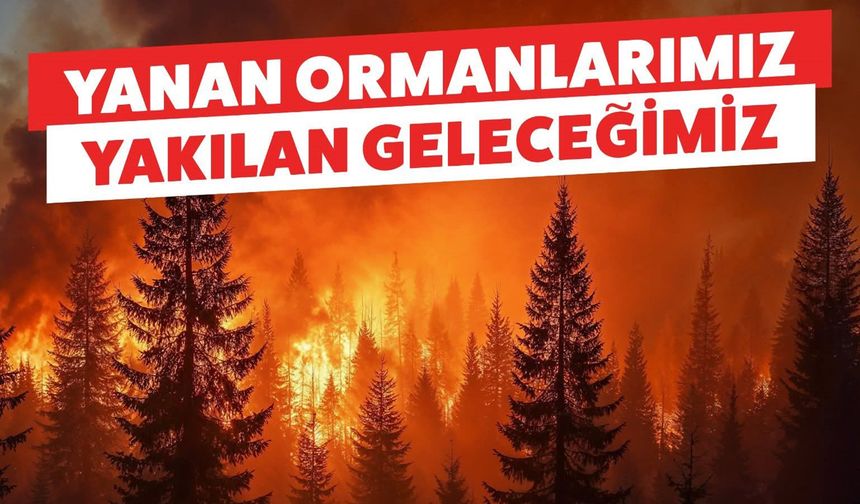 Sungurlu Belediyesi’nden yeşil vatan için anlamlı adım! 1071 fidan toprakla buluşacak