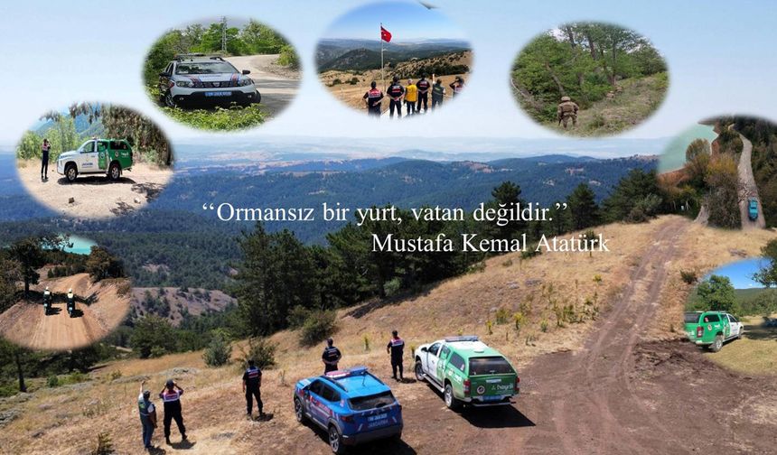 Çorum'da ormanlara girişler yasaklandı: Mangal, piknik, semaver ve hatta mola bile yasak