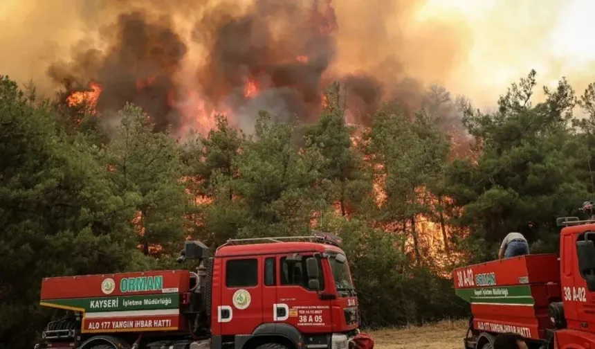 Orman yangınları: Sakarya, Bilecik, Eskişehir ve İzmir'de son durum ne?