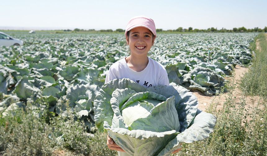 Borsası bu köyde kuruluyor! 100 yıllık tohumla Türkiye'ye satıyorlar
