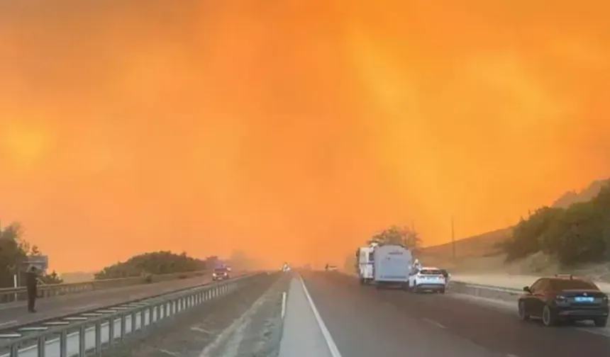 Bursa-Bilecik yolu orman yangını nedeniyle kapatıldı