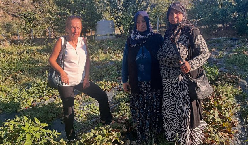 AK Parti Kargı İlçe Başkanı Demiral’dan çilek üreticisine destek sözü