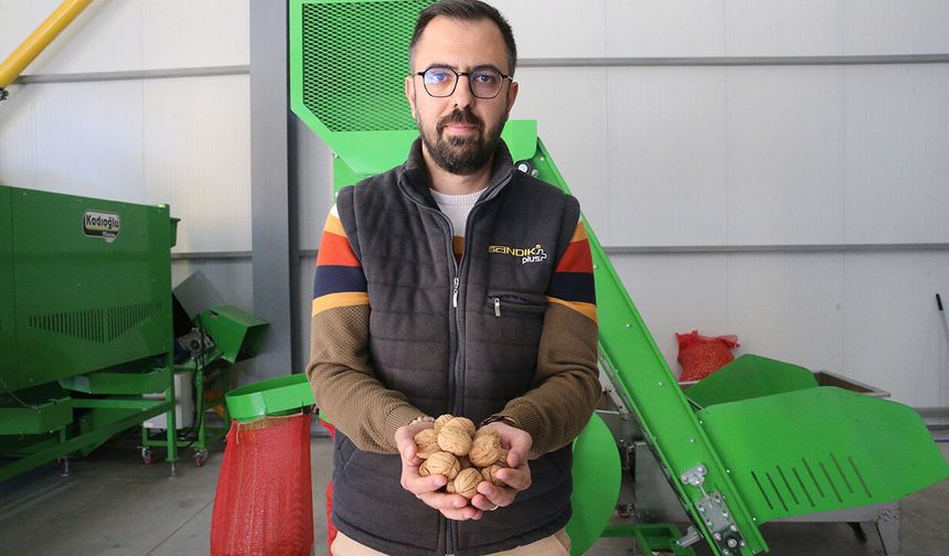 Devlet desteğiyle Çorum'un yanı başına kurdu, şimdi paraya para demiyor