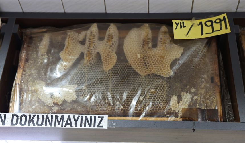 35 Yıldır Bozulmayan Bal Çerçeveleri Görenleri Şaşırtıyor! Üzerindeki Detay Herkesi Hayrete Düşürüyor