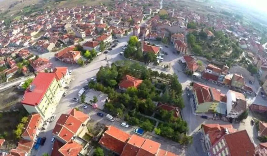 Bayat’ta alarm! Her gün 2-3 anız yangını çıkıyor: "Geleceğimizi yakmayın!"