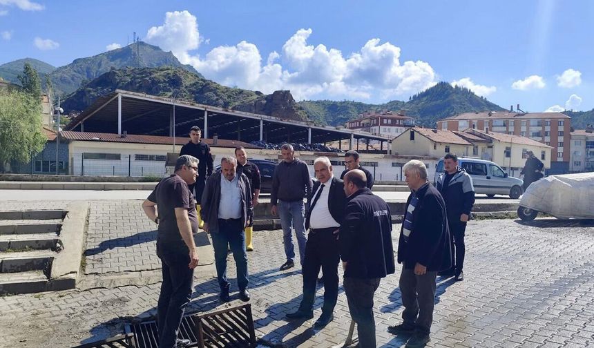 Başkan Çizikci çalışmaları yerinde inceledi