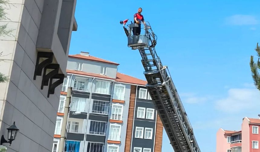 Çatıda mahsur kalan yaralı karga kurtarıldı