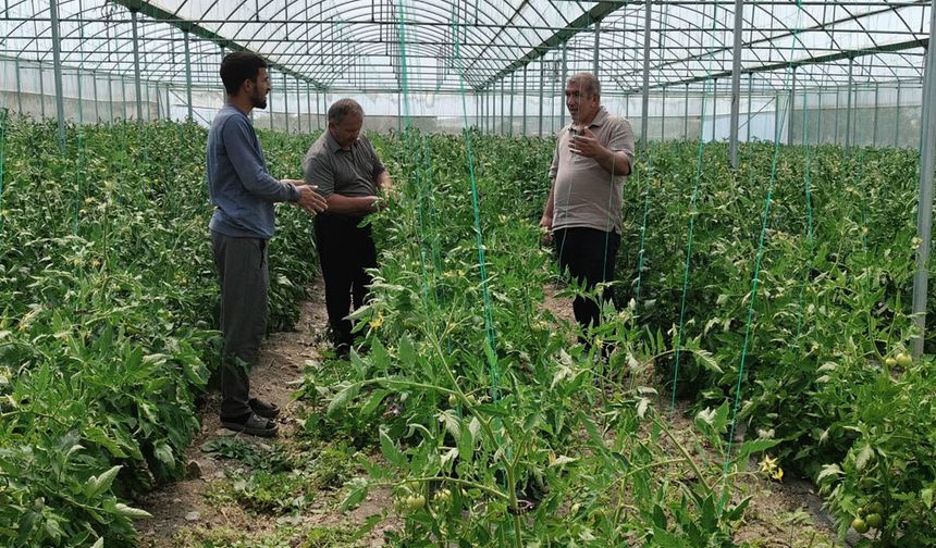Seralarda teknik inceleme ve üreticilere bilgilendirme yapıldı