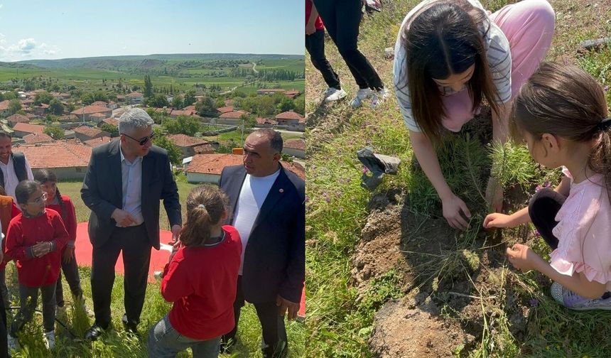 Alaca’da şehitler için fidan dikildi