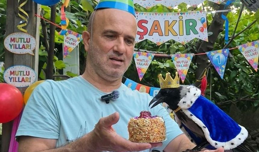 Karga Şakir’e fındıklı pastayla sürpriz doğum günü