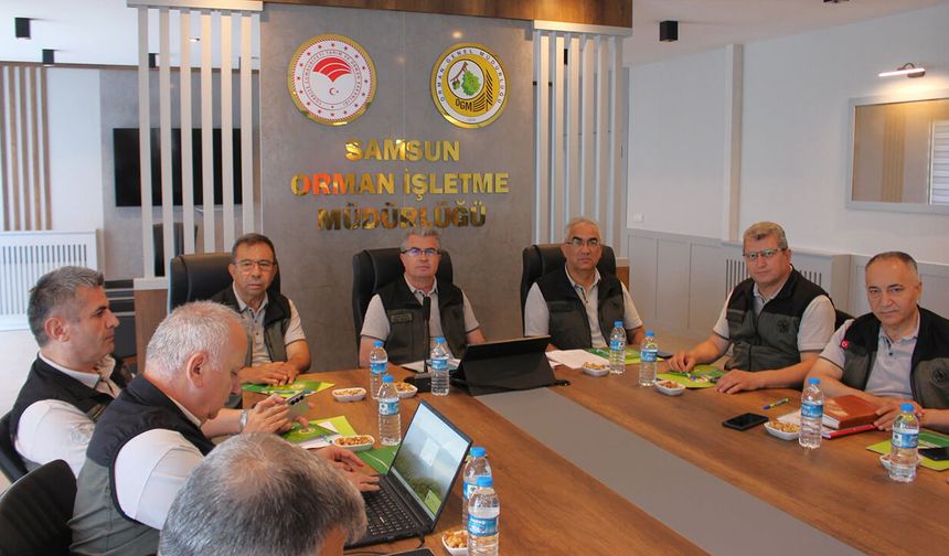 Çorum’daki ormancılık çalışmaları Samsun’da değerlendirildi
