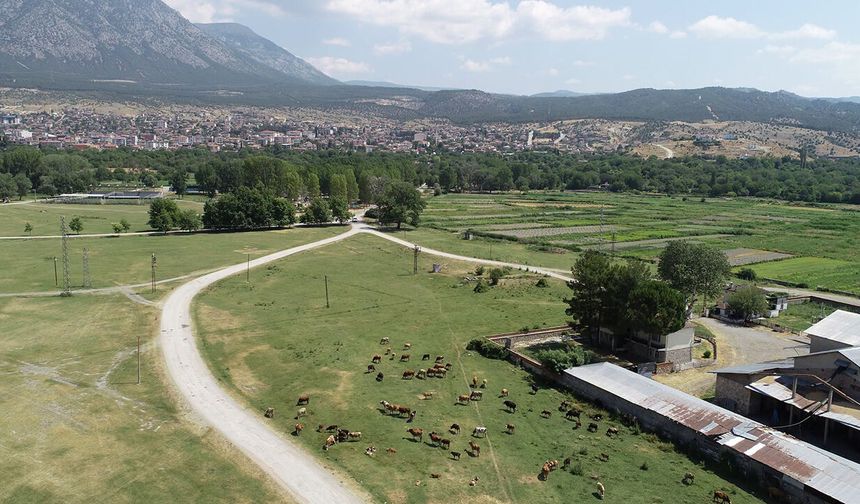Kargı ve Laçin’de mera ıslahı için etüt çalışması yapıldı