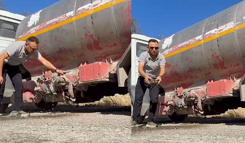 Anız yangınından etkilenen kaplumbağayı belediye ekipleri kurtardı