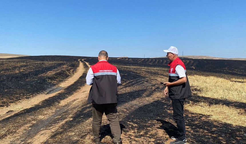 Anız yangını sonrası zarar tespiti yapıldı