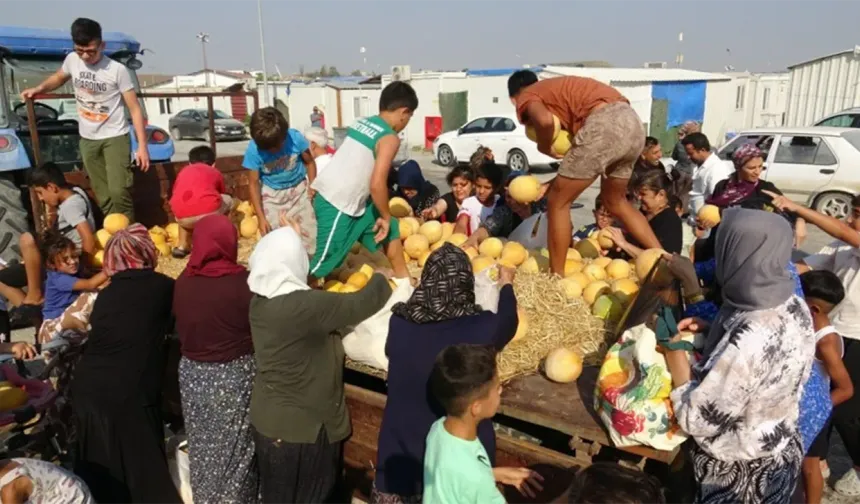 Tarlada 5 lirayı duyunca "Dua yeter" dedi: 50 tonluk mahsul için bakın ne yaptı