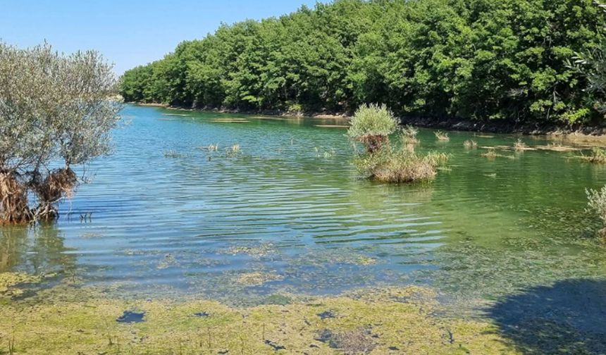 Şehir Stresinden Kaçanların Yeni Sığınağı: Hıdırlık Göleti!