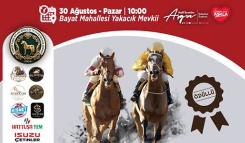 30 Ağustos'ta Çorum'da Nefesler Tutulacak: Rahvan ve Safkan atlar yarışacak