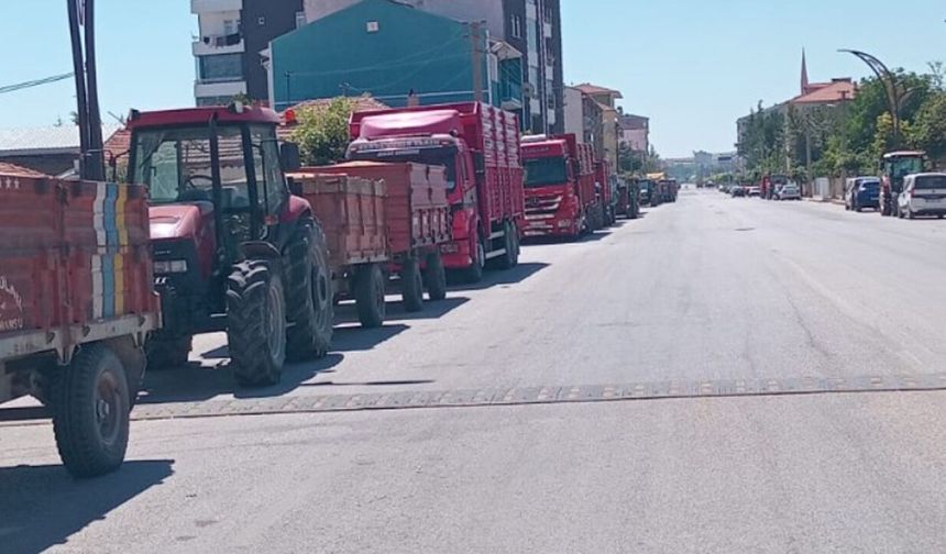 Alaca’da ürün bolluğu, çiftçide fiyat sıkıntısı
