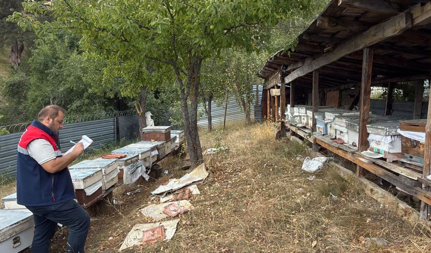 Çorum'da arılı kovanların kontrolleri sürüyor