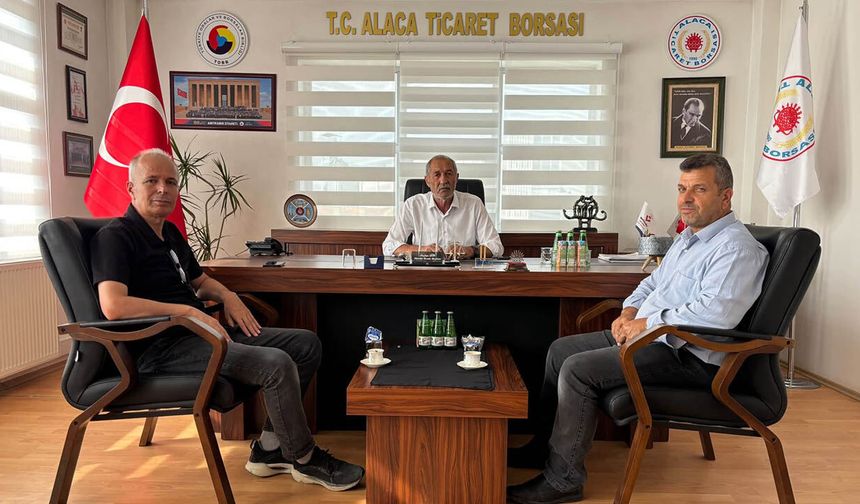 Alaca’da tahıl rekoltesi ve süne oranları değerlendirildi