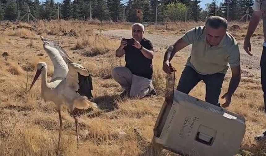 Ölen eşinin başından 5 gün boyunca ayrılmadı!