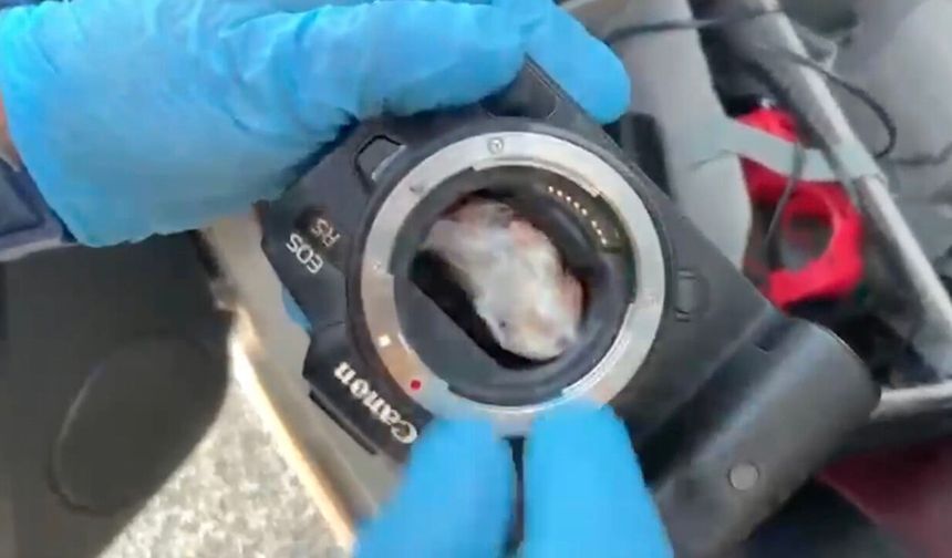 Polis ekipleri durdurdukları araçtaki fotoğraf makinesini söktü ve içinden çıkanlar şok etti