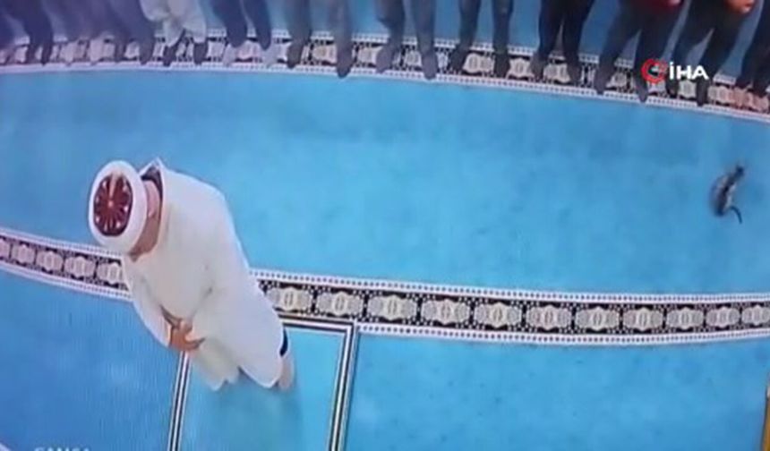 Tekmeleyince cami imamının kafasına fırladı: Kediyi tekmeleyen vicdansız kameralarda