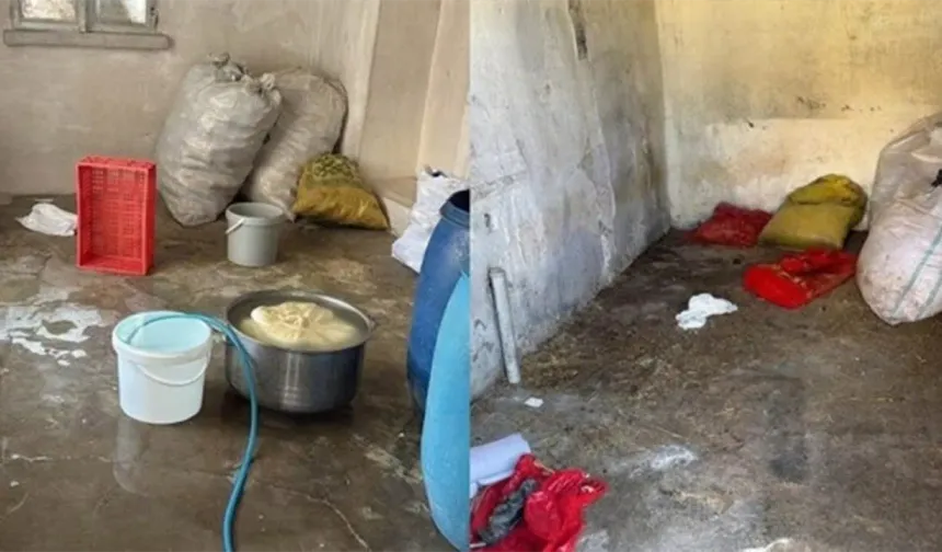 Tuvalet yanında peynir imalatı: Belediye başkanı bile gördüklerine inanamadı