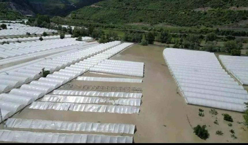 Amasya’da 5 bin dönüm arazi sular altında: Üretici borç ve icra kıskacında