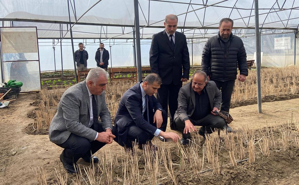 Çorum'da öğrenciler yetiştiriyor: İlaç sanayisinde kullanılıyor