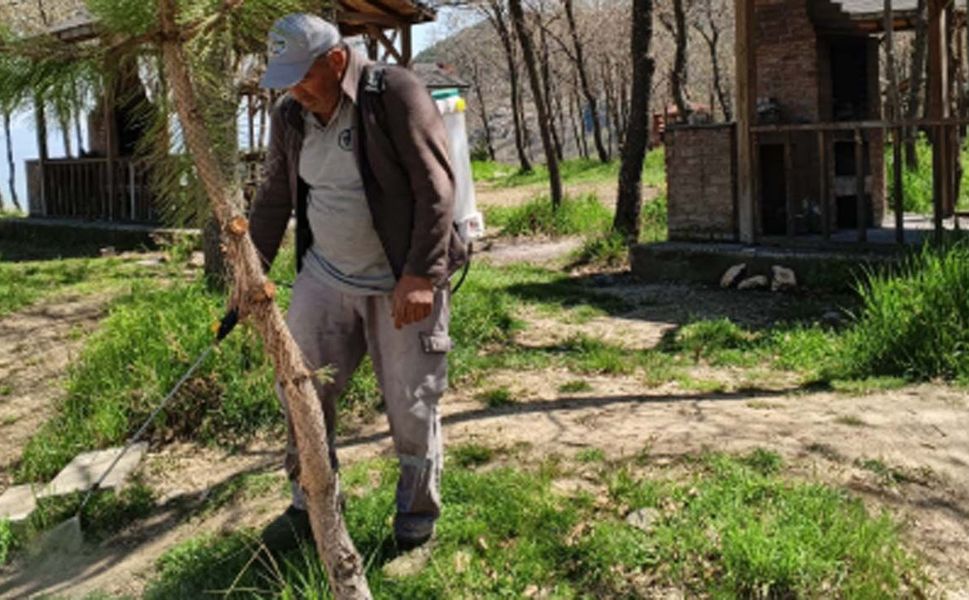 Laçin’de mesire alanında ilaçlama çalışması