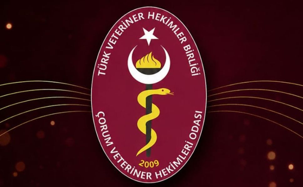Veteriner hekimler 9 Mayıs’ta bir araya geliyor