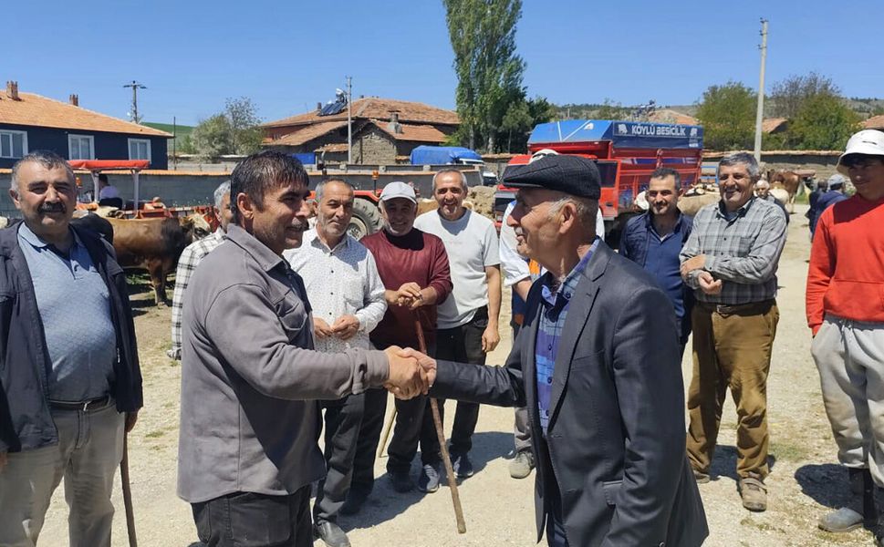 Arifegazili’de kurbanlık pazarı yeniden kuruldu