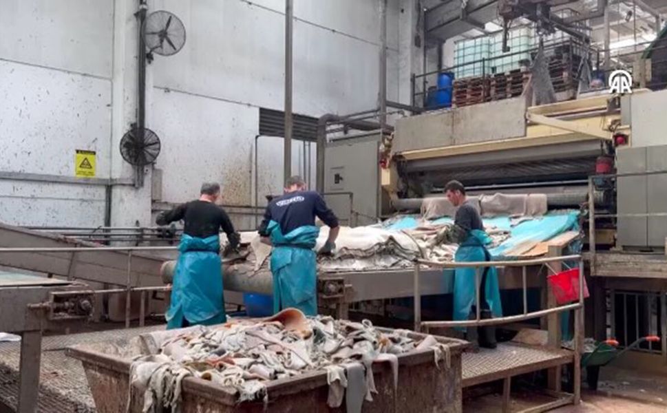 Doğru yüzülen kurban derisi ekonomiye büyük katkı sağlıyor