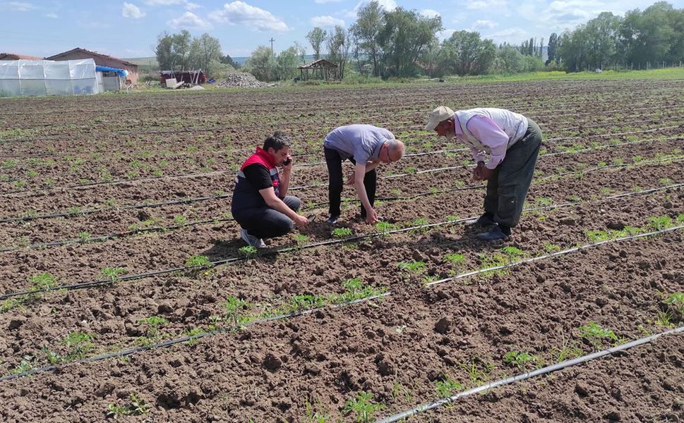 Alaca'da tarım arazileri yakın takibe alındı
