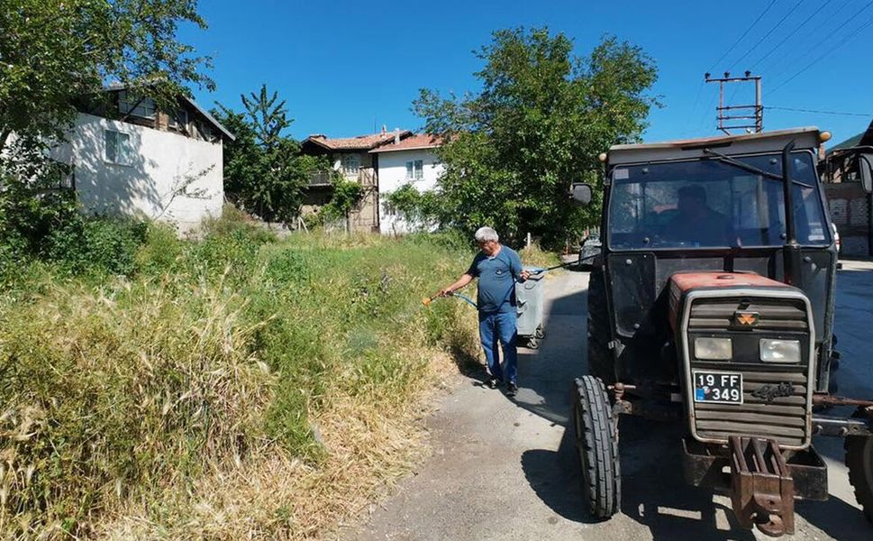 İskilip’te yabancı otlarla mücadele sürüyor