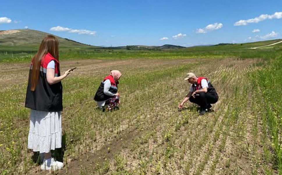 Alaca’da arazi kontrolleri aralıksız devam ediyor